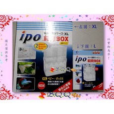 IPO 飼育繁殖盒 XL, 1個, XL(如左圖)-現貨ISTA(介意勿標)