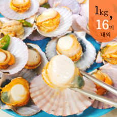 [당일채취 산지직송] 완벽세척 명품 가리비 알이 꽉찬 제철 가리비, 2개, 1Kg
