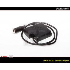 Panasonic 假電池電源供應器, 1個, 單購入假電池 * 1