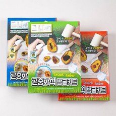 곤충화석발굴키트 1EA, 본상품
