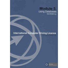 ICDL MODULE 5 (資料庫), 韓國生產性本部