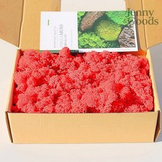 제니앤굿즈 모나코플라워 스텔라 모스이끼 불꽃레드 200g 인테리어