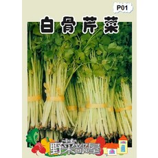 【野菜部屋】P01 白骨芹菜種子 中包裝, 1包