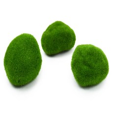 모어 이끼돌 10P 정원소품