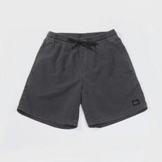 보드라이더스 퀵실버 에브리데이 서프워시 17인치 숏 (QF31BS019KVJ)_CA