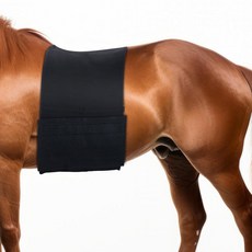 포일스월 말 벨리가드 바디 붕대 랩 14 x 75 인치 탄력 보호 스퍼 프로텍터 커버 보호용 문지르기 및 차페 둘레