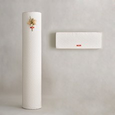 심플드레스 에어컨커버 투인원세트 (삼성무풍 엘지듀얼 외), C타입(120X198)/라운드S, 리본