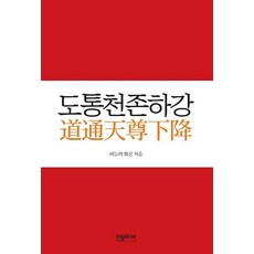 도통천존하강, 한솜미디어, 이동환 저