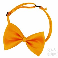 2ndok 소형나비넥타이 돌촬영소품