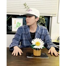 818 BLOOM 拼圖式積木模型 雛菊盆栽 限量版, 黑, 1個
