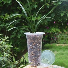 연질 TPE 타공 롱화분 수경재배 난재배용 포트화분 난화분 D13 13x22cm