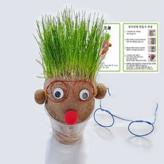 잔디인형 키우기 기르기 새싹키우기(합포장), 1개