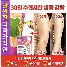 {일본수입 | 전신적용}안전하고 효과적인 다이어트 패치 | 팔뚝패치 | 허벅지패치 | 뱃살 | 종아리패치 날씬하고 싶은 곳에 붙이고, 2개, 12개입