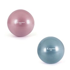 안티버스트 짐볼 55cm 필라테스