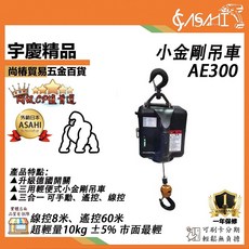 宇慶 ASAHI AE系列小金鋼吊車 300KG 110V/60Hz 1500W 5M/min, 1個