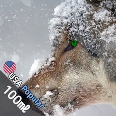 F012 피어스 100ml (Fresh Fierce) 프래그런스오일 캔들 디퓨저 향수, 1개