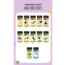 프리돌린 FRIDOLIN 3D 입체퍼즐 동물 12종, 돛새치