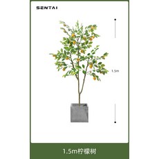 인테리어 조화 레몬나무 생화같은 인조화분, 1.5m 레몬나무 + 원색 사각