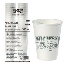 늘푸른 피크닉 인쇄종이컵 380ml, 1개, 100개입