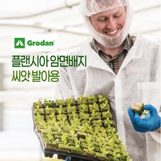 그로단 씨앗 종자 발아용 98구 LG틔운 인공토양 암면배지 수경재배 수경재배기, 2개