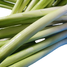 싱싱한 노지대파 3kg 5kg 노지 대파 국거리용 진도대파 국산대파 국내산대파 파 파전 채파 파채 흙대파 깐대파 전골채소, 1개