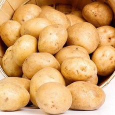 [다농이네][이정식님 생] 햇 수미 감자 5kg 중, 매장정품 다농이네 [이정식님 생산] 햇 수미 감자 5k