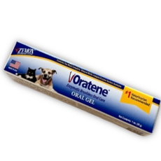 자이목스 오라틴 안티셉틱 젤 강아지 고양이 바르는치약 오럴젤 28g, 1개