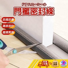 【自由剪裁 防風防塵門縫條】門縫條 隔音條 門縫密封條 門縫擋 密封條 門窗密封條 門擋條 門縫擋條 窗戶隔音 防蟲門縫, 1個