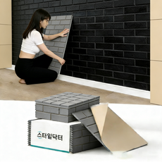 스타일닥터 소음방지 흡음재 폴리 소재 현관문 방음재 극장 노래방 전용 벽체 접착 방음판, 12개, 블랙