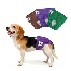 LESYPET 강아지 기저귀 열 흥분성 배뇨 또는 요실금에 있는 강아지용 방수 암컷 강아지 기저귀 세탁 및 재사용 가능 3팩 사이즈 M 436769