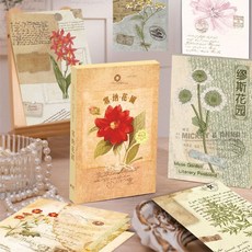 莫奈畫冊明信片 復古文藝風 牆面裝飾卡片 生日禮物, 1個, 莫奈花園系列【明信片】關注送圓點貼,【繆斯花園】一盒裝30張