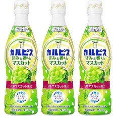 일본 칼피스 원액 스위트 앤 프레그랜트 샤인 머스캣 470ml x 3개 희석용