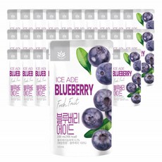 블루베리 즙 주스 에이드 안토시아닌 블루베리 쥬스 BLUEBERRY 30팩, 230ml
