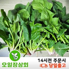 < 오 일 장 상 회 >남해시금치 고성남해초 남해 노지시금치 1kg 2kg 3kg 내외, 1개, 1kg내외