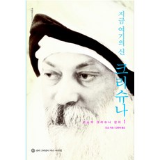 當下之神 克里希那, 什里克里希納達斯阿什拉姆