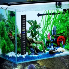 리치썬샵 스티커형 어항 온도계 어항 온도기