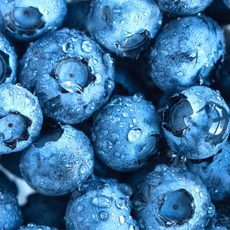 수입산 생블루베리 탱글탱글 칠레 미국 블루베리, 1박스, 500g(14-16mm)