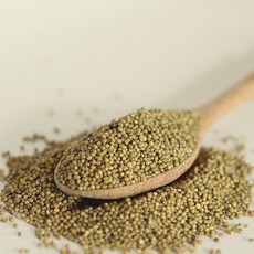 곡물생활 2025 국산 차조 차좁쌀 300g 500g 4kg, 1개