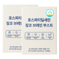 두뇌 포스파티딜세린 은행잎추출물 징코 아연 식약청인정, 2개, 60정