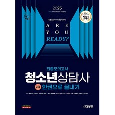 2025 시대에듀 청소년상담사 2급 최종모의고사 한권으로 끝내기 [시대에듀], 단품