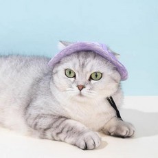 소형견 고양이용 개 고양이 모자 조절 가능한 반려동물 캡 헤드웨어 머리 이어 커버 강아지 귀마개 소음 보호 애완동물 목 워머 머리띠 의상 그루밍 사진용 헤드기어_155398, 바이올렛 고양이 강아지 모자_155398