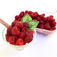 새콤달콤한 급냉 국내산 산딸기 500G 1팩, 1개, 단품