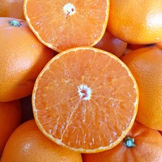 [제주도_직송]새콤달콤한 고당도 제주 천혜향 초특가, 1박스, 3kg