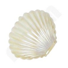 꿈모음 쥬얼리 조개모양 소품 보석 액세서리 보관함 주얼리보관함