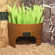 陸龜蜥蜴守宮蛇蟒適用三角扇形加濕爬蟲躲避洞穴，營造舒適安全的爬寵屋, 棕色加溼躲避, 1個