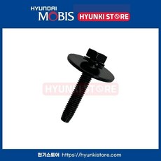 현대 기아 순정 볼트 281711C000 / 281712H000 대체 호환 공용 / 28171 1C000, 호환 차종, 2개