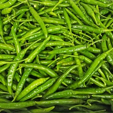 국내산 땡초 청양고추 대량 도매 식자재 5kg, 1개