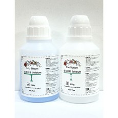 (SG) new 고체 하바리움용액 솔리디움 solidium 500g, 500g(A250g+B250g)