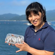 남해 바다 손질 생 멸치, 1개, 500g