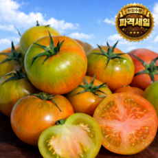 [제철한정특가할인] 달콤아삭 부산대저토마토 산지직송 초특가세일, 1박스, 대저토마토 2.5kg (L)